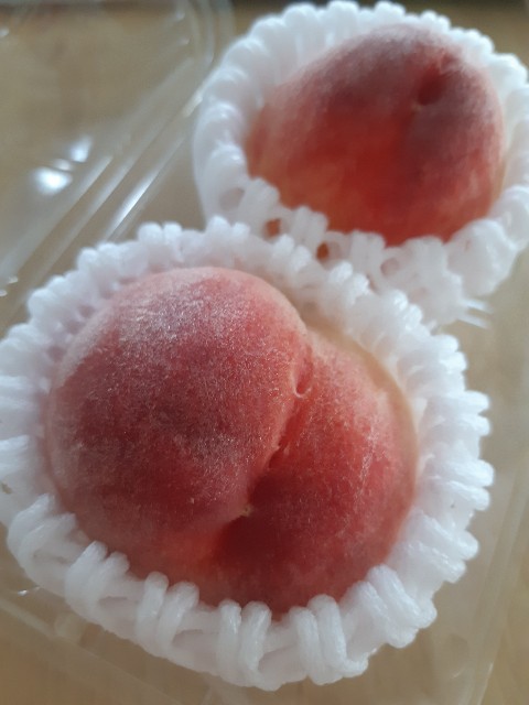 f:id:nonousagi:20200616161828j:image
