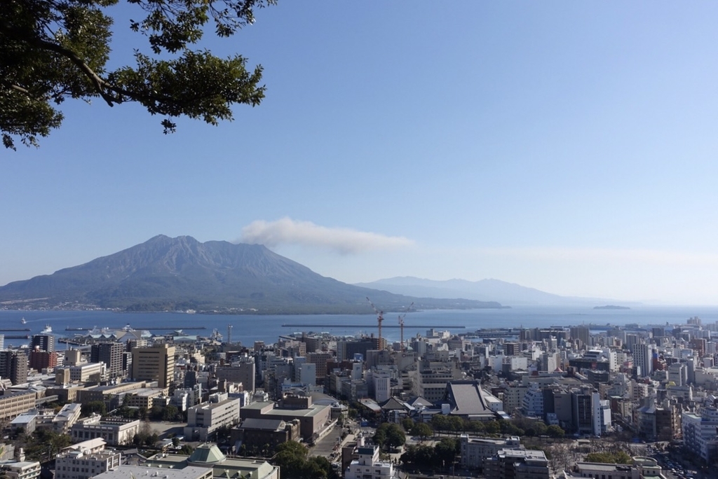 f:id:nonoza531:20190106142526j:plain