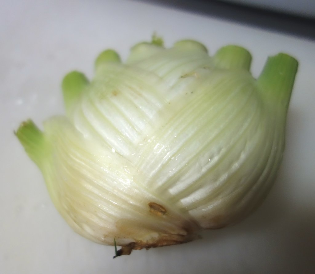 f:id:nonshan:20190201224011j:plain f:id:nonshan:20190201224011j:plain
