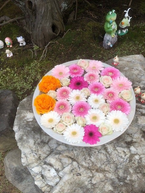 f:id:nonshan:20220228163152j:plain