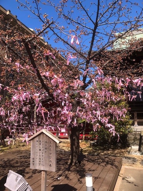 f:id:nonshan:20220228223827j:plain