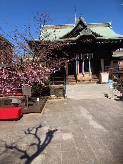 f:id:nonshan:20220228224122j:plain