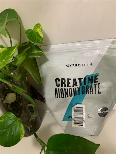 f:id:nonsige:20200204002115j:image