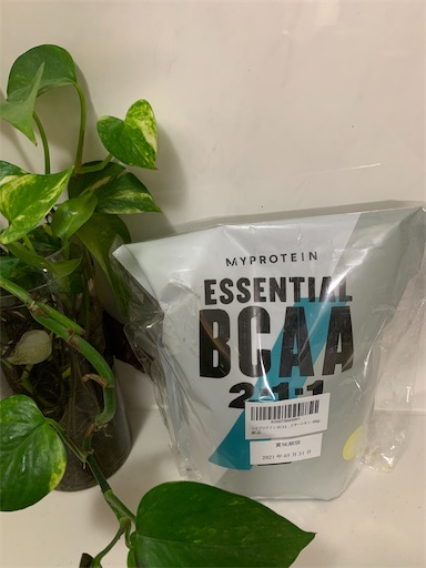 f:id:nonsige:20200204002118j:image