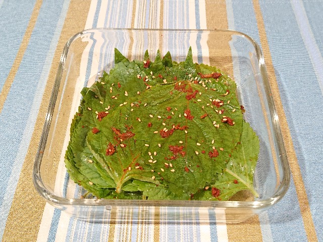 f:id:nonsugar23:20210418103515j:image