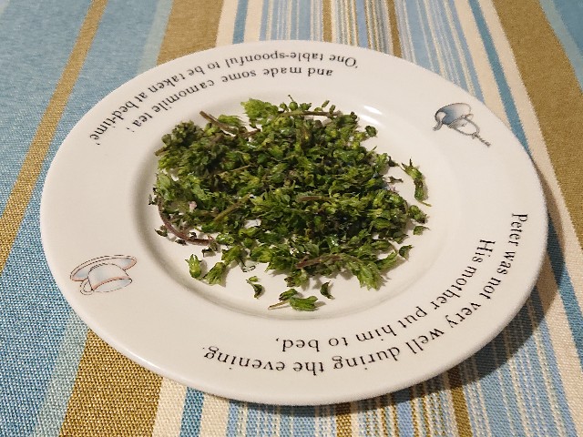 f:id:nonsugar23:20210418103529j:image