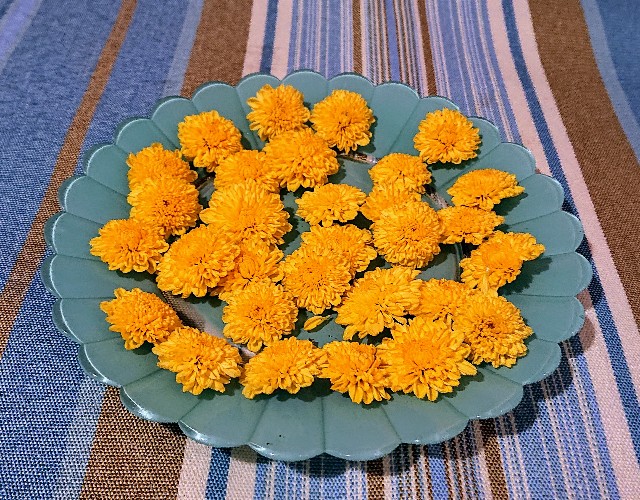 f:id:nonsugar23:20210901224211j:image