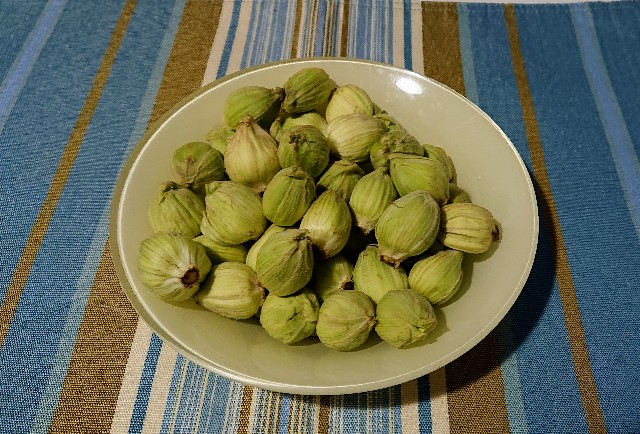 f:id:nonsugar23:20220214190445j:image