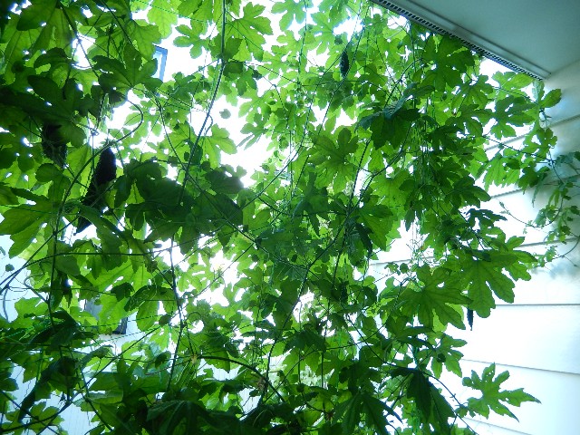 f:id:nonsugar23:20230813182105j:image