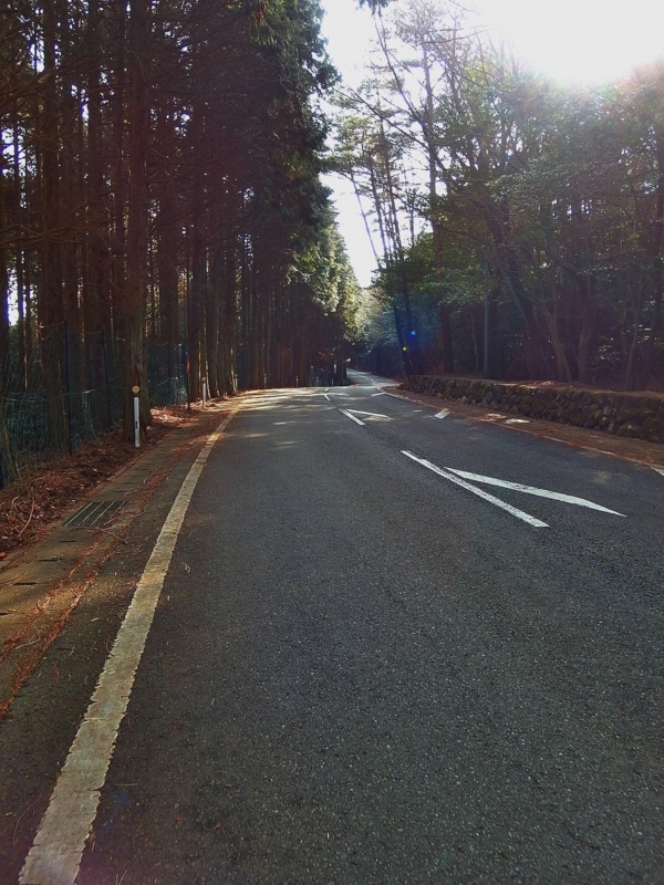 小豆島を走る 寒霞渓編 Jan 18 自転車旅cafe 小豆島を走る 寒霞渓編 Jan 18 自転車旅cafe