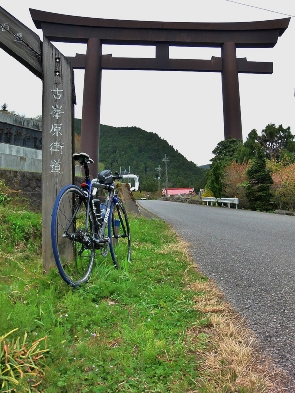 自転車が走っていいところなんてない