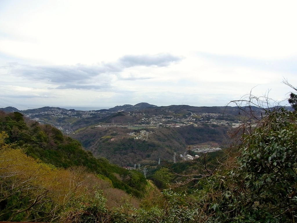 f:id:nonsugarcafe:20190312231820j:plain