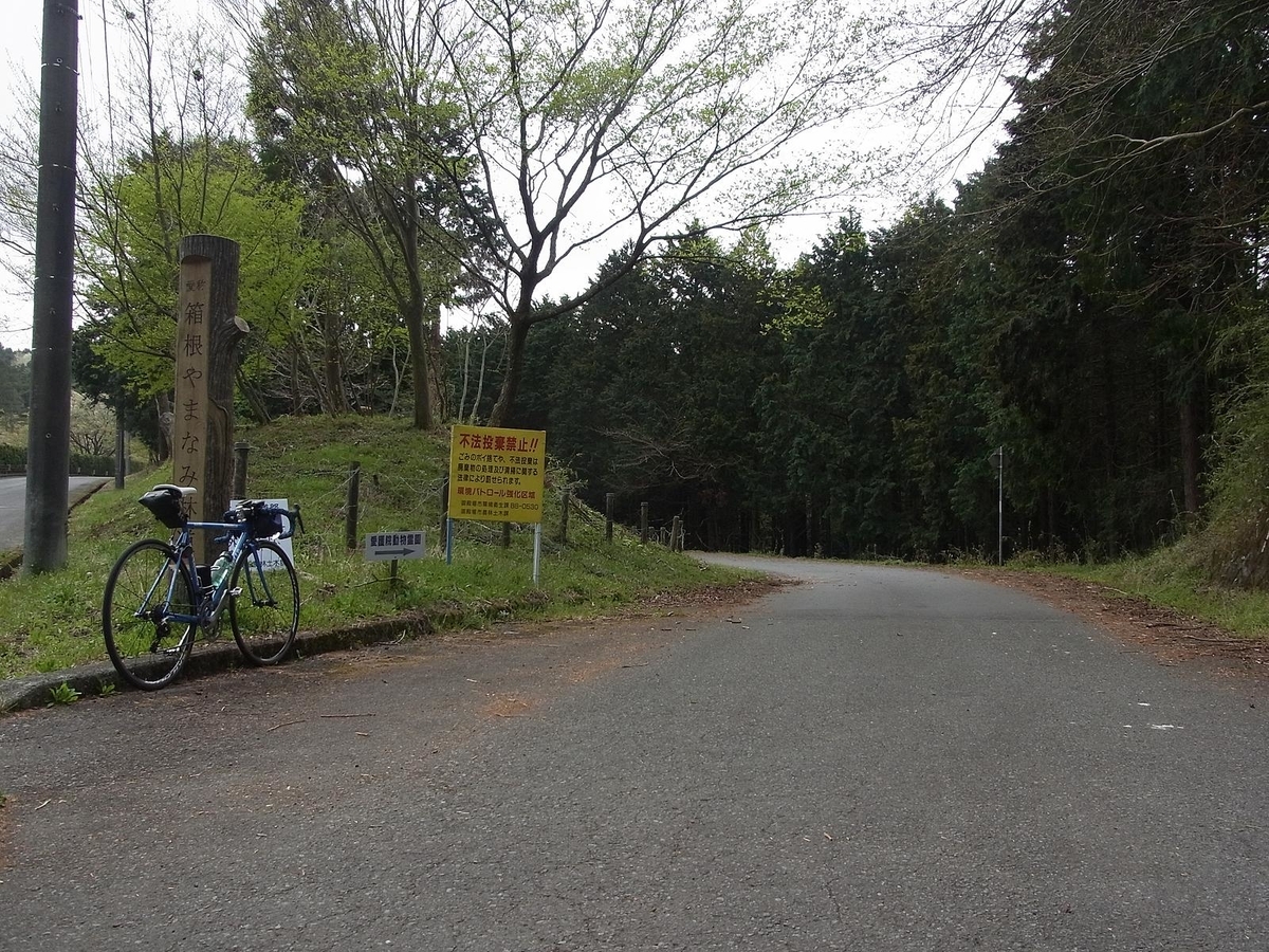 f:id:nonsugarcafe:20190420092104j:plain