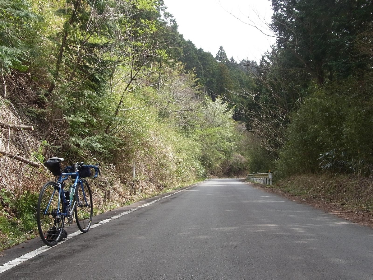f:id:nonsugarcafe:20190420100935j:plain