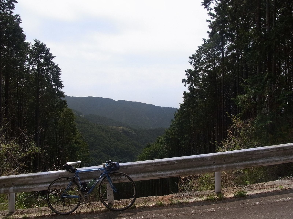 f:id:nonsugarcafe:20190420111230j:plain
