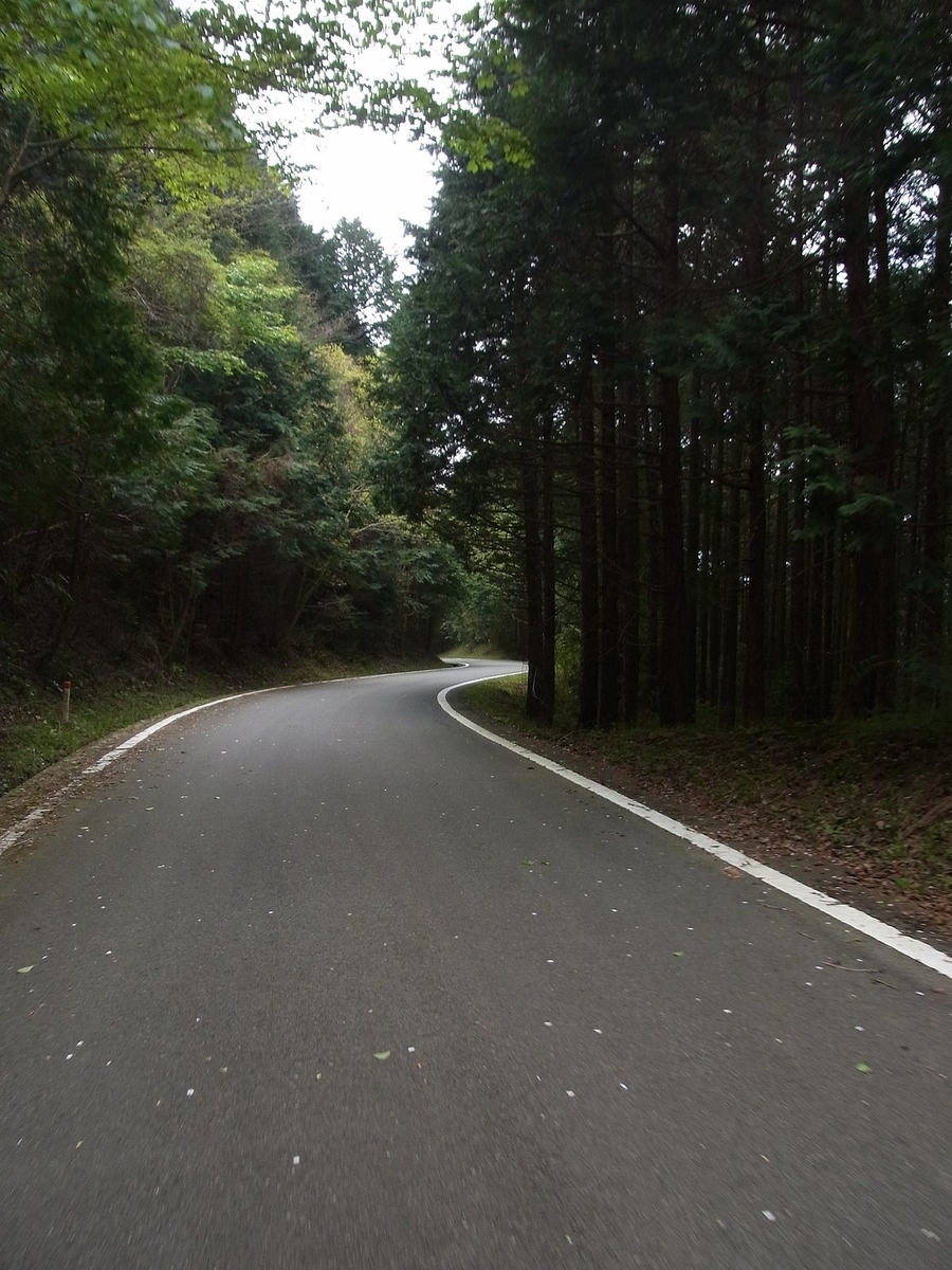 f:id:nonsugarcafe:20190420111524j:plain