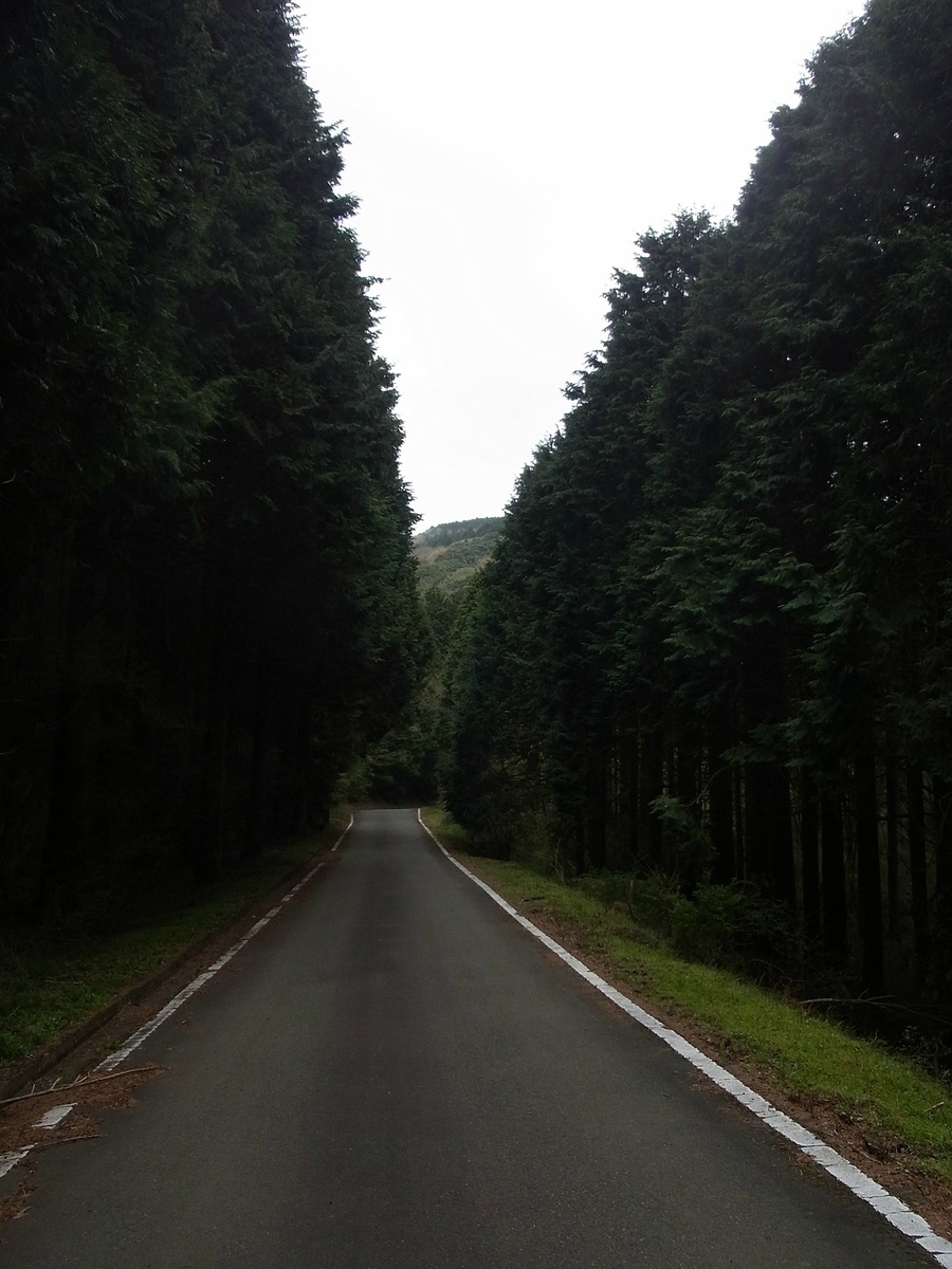 f:id:nonsugarcafe:20190424233345j:plain