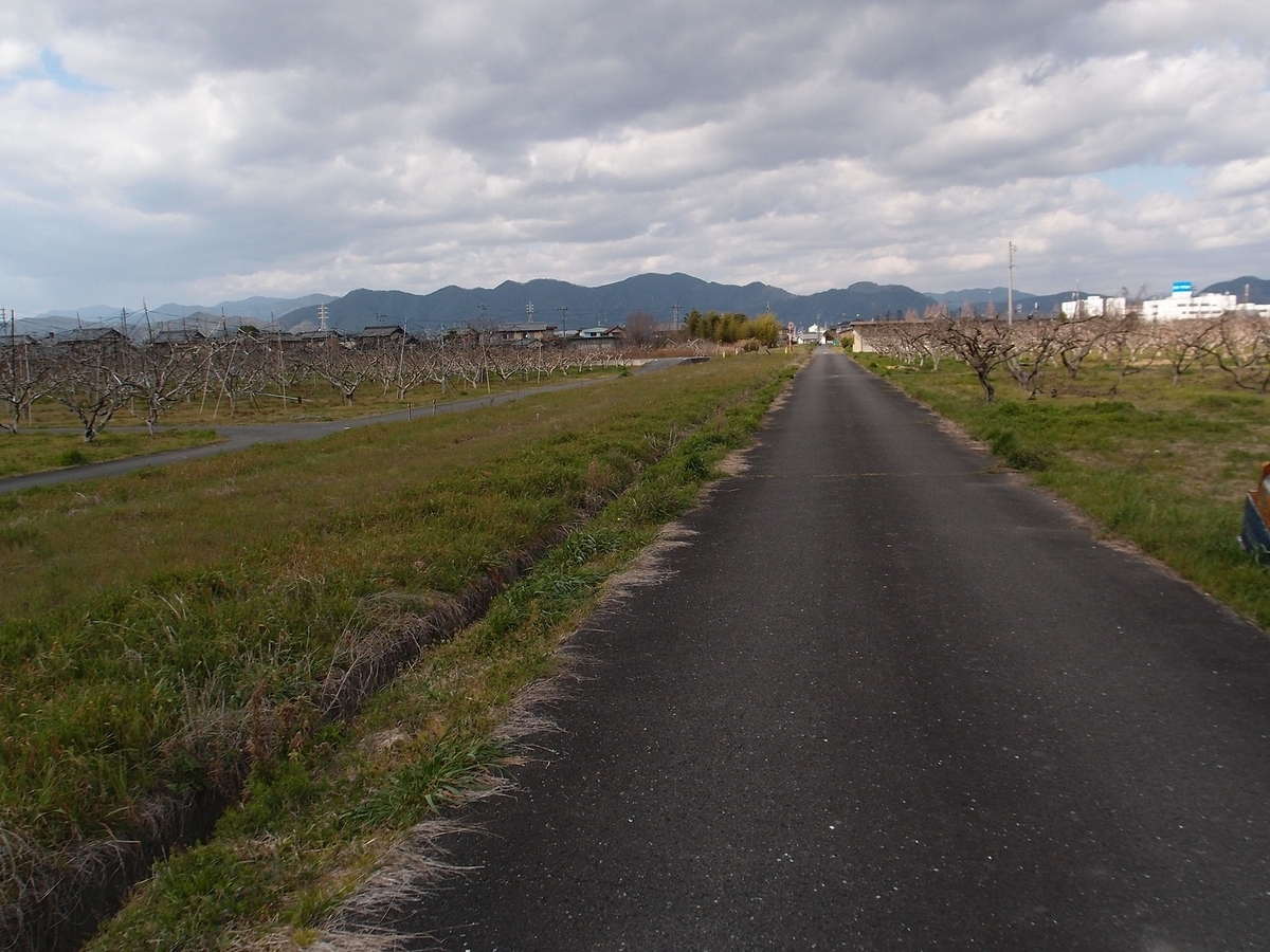 f:id:nonsugarcafe:20200320141706j:plain f:id:nonsugarcafe:20200320141706j:plain