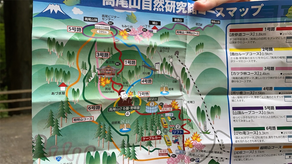 f:id:nontachang:20200607083614j:image f:id:nontachang:20200607083614j:image