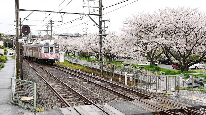 豊橋鉄道渥美線の列車を撮影する 1800系 - のんてつ nonbiri train geek
