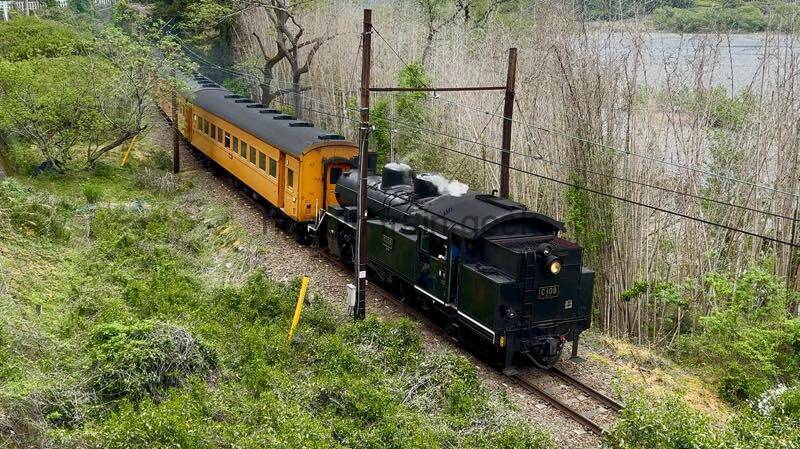 4K / JR西日本 神戸線 さくら夙川駅 S字カーブを美高速通過集
