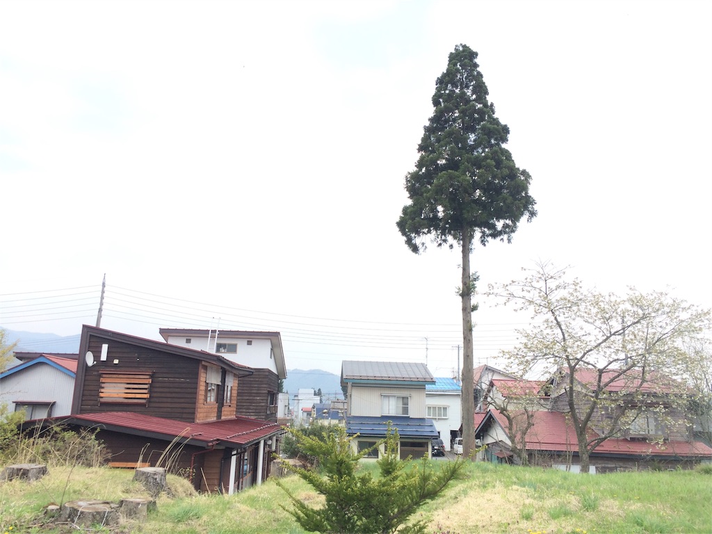 f:id:nontsu:20160504194834j:image f:id:nontsu:20160504194834j:image