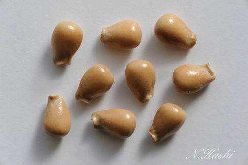 f:id:nontyant:20200104165502j:plain f:id:nontyant:20200104165502j:plain