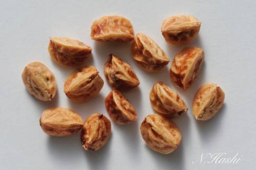 f:id:nontyant:20200104170305j:plain f:id:nontyant:20200104170305j:plain