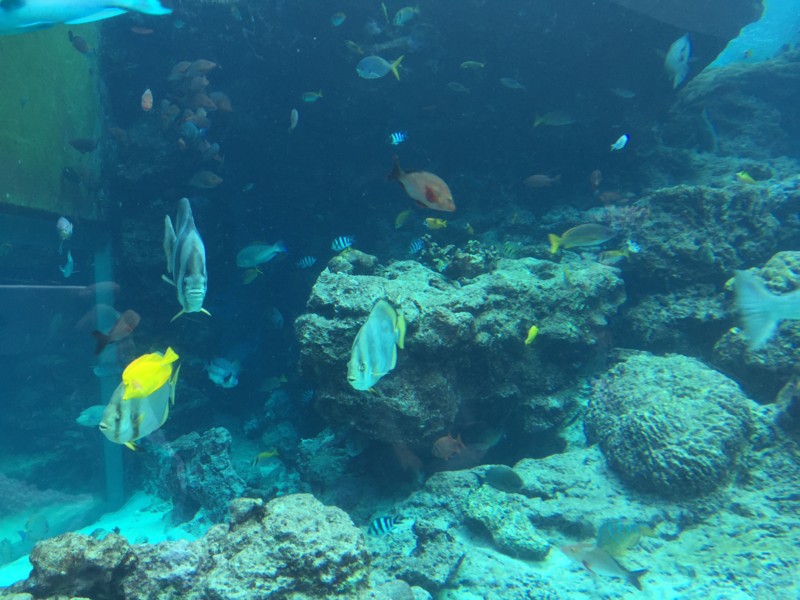 f:id:noobow34:20150228170845j:plain f:id:noobow34:20150228170845j:plain