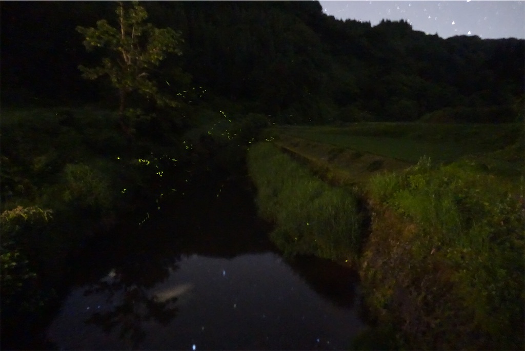 f:id:noofuronolife:20190707214406j:image