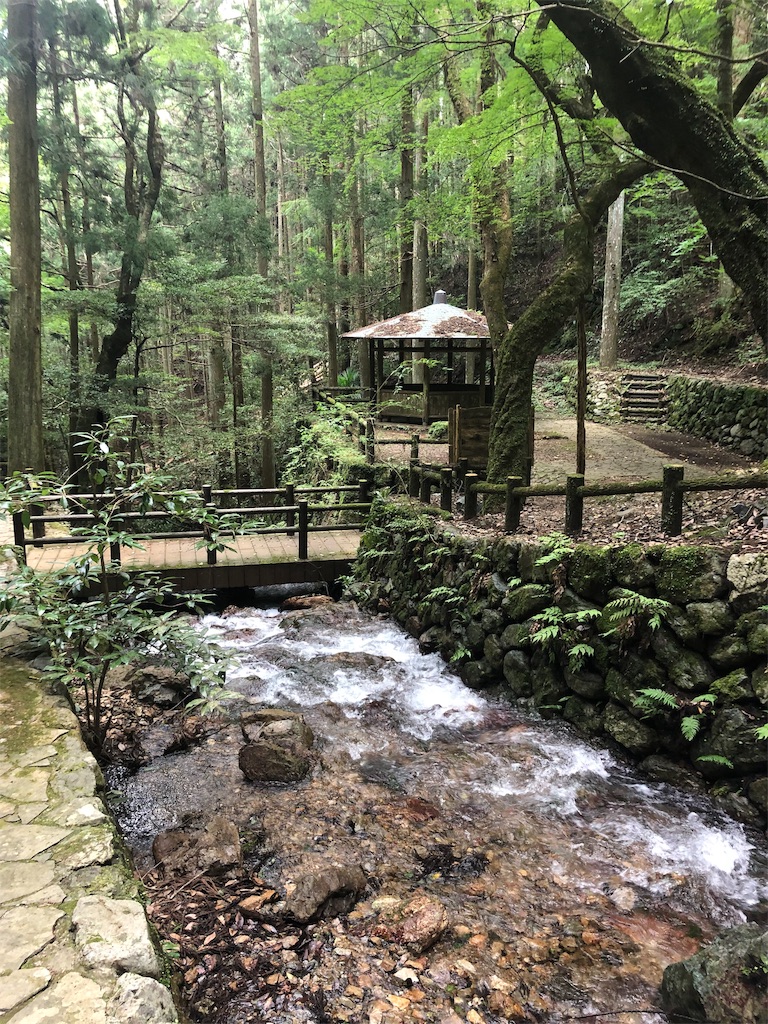 f:id:noofuronolife:20190809165540j:image
