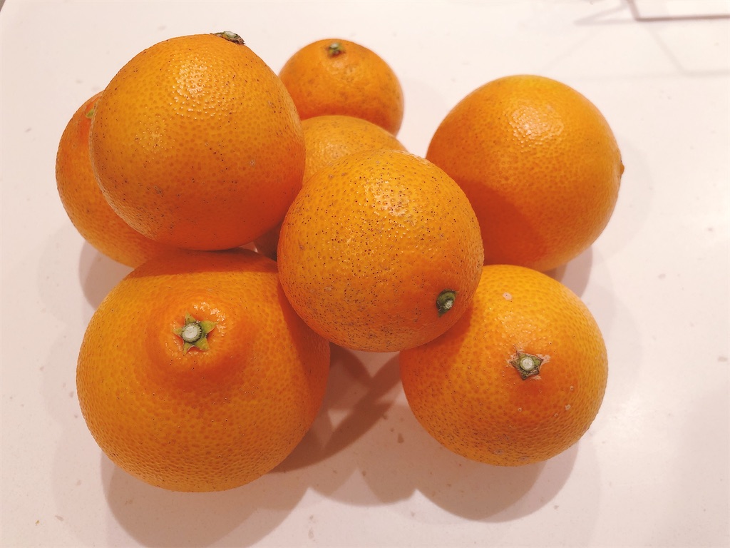 f:id:noofuronolife:20191220154324j:image f:id:noofuronolife:20191220154324j:image