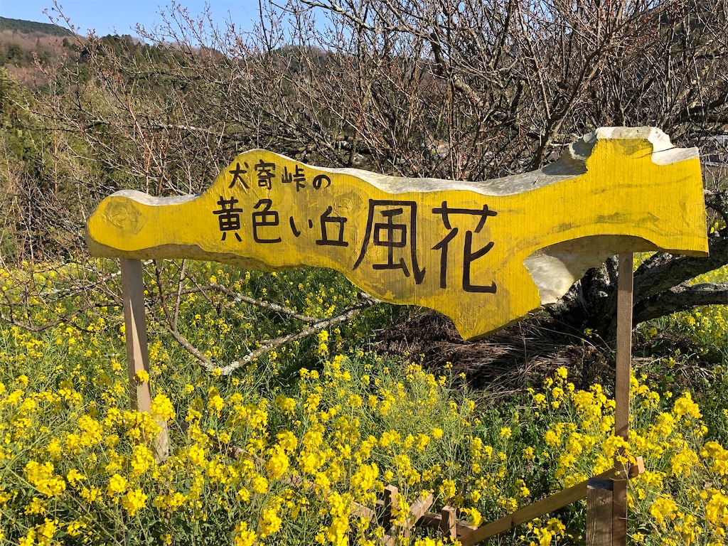 f:id:noofuronolife:20200327161954j:image