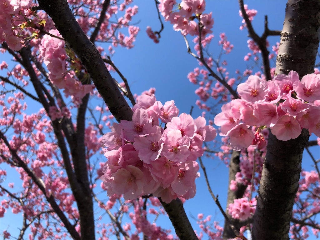 f:id:noofuronolife:20200327162010j:image