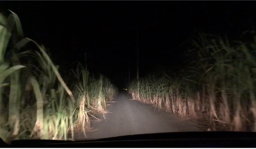 宮古島 Grand Bleu Gamin ざわわの中のフレンチレストラン ホテル No Ofuro No Life