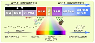f:id:noomi22:20190708143306j:plain