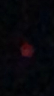 f:id:noomi22:20200213170150j:plain