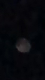 f:id:noomi22:20200213170315j:plain