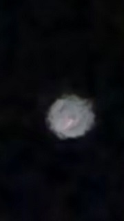 f:id:noomi22:20200213181259j:plain
