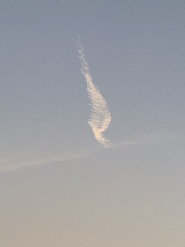 f:id:noomi22:20200410202434j:plain