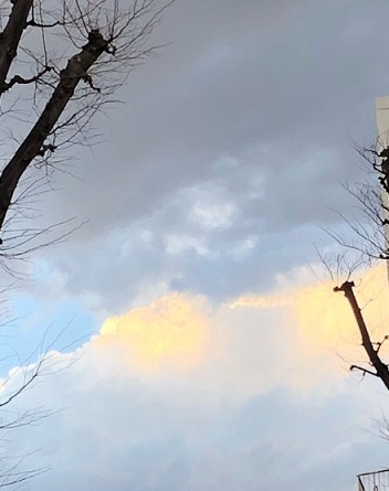 f:id:noomi22:20200411011320j:plain