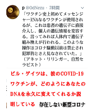 f:id:noomi22:20200825180030p:plain f:id:noomi22:20200825180030p:plain
