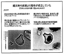 f:id:noomi22:20201128190129j:plain