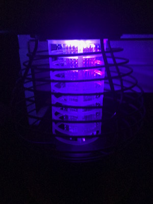 f:id:noon8:20170626014231j:plain