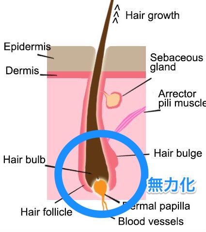 f:id:noon8:20170911015324j:plain