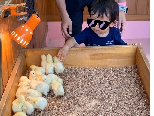 東武動物公園触れ合いコーナー