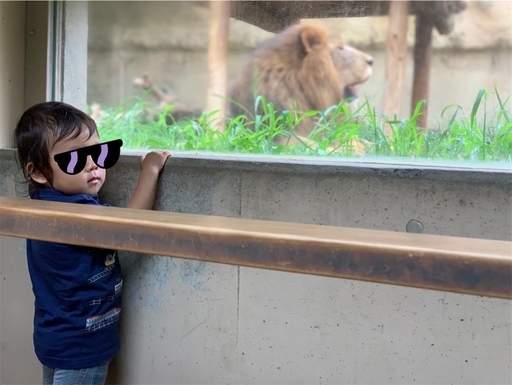 東武動物公園ライオン