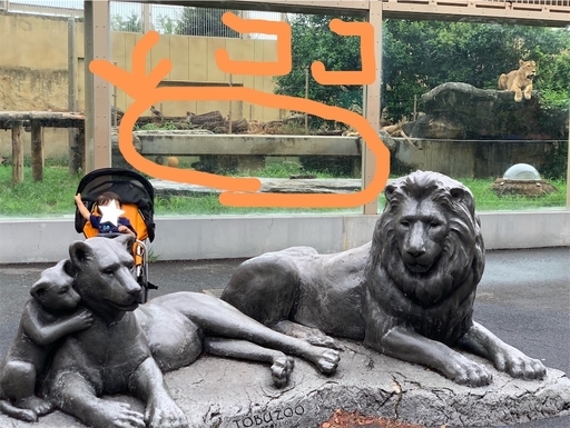 東武動物公園ライオン