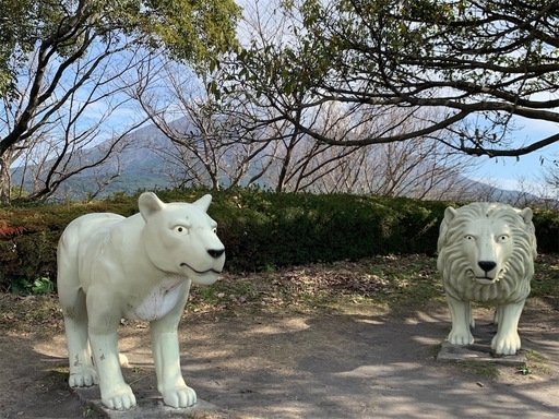 桜島自然恐竜公園の遊具