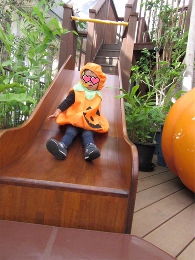 夢の島熱帯植物館の滑り台